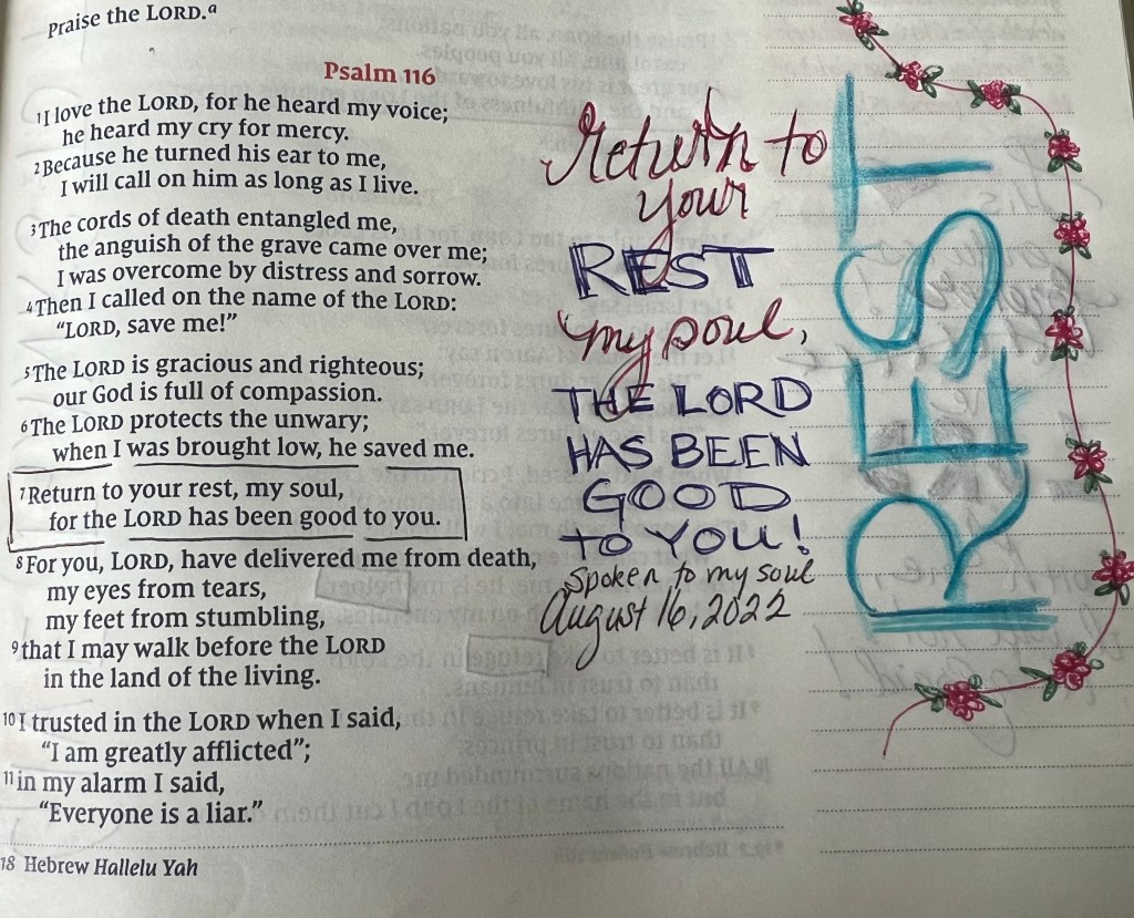 You intended to harm&nbsp;me…