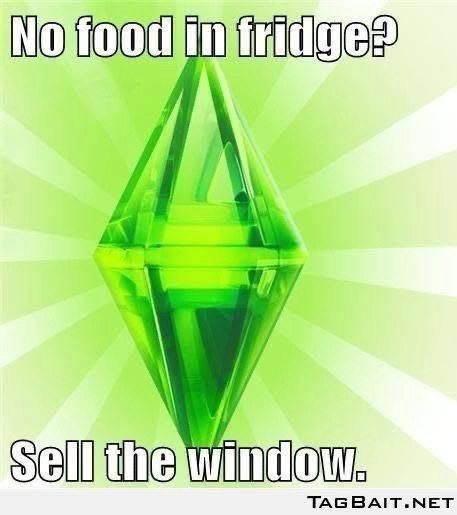 🎮 That Time a Brown Recluse Turned Me Into a Sims-Addicted Life&nbsp;Coach